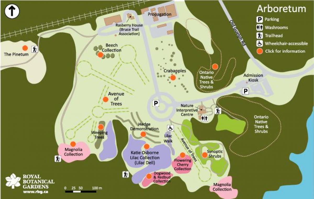 Քարտեզ Arboretum РБГ 