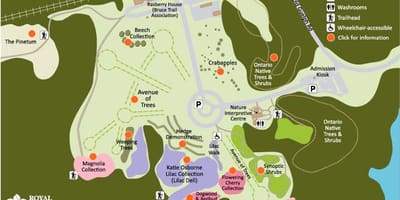 Քարտեզ Arboretum РБГ 