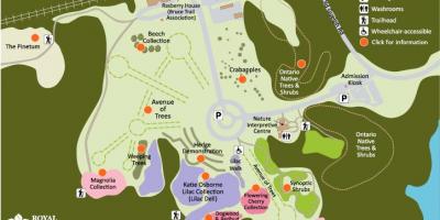 Քարտեզ Arboretum РБГ 